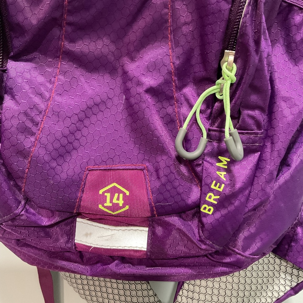 High Sierra Purple Backpack for Outdoor Adventures - Picture 3 of 5